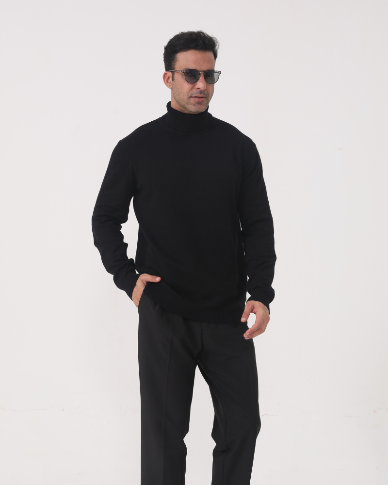 Herren Rollkragenpullover glatter Strick, langarm – Aldren