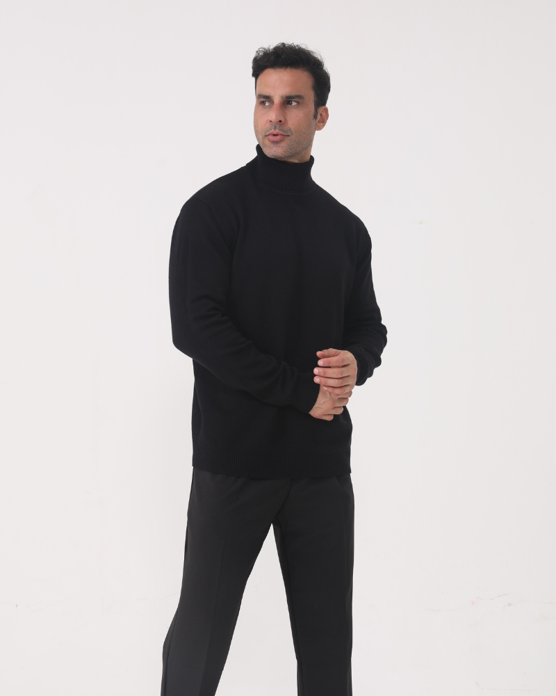 Herren Rollkragenpullover glatter Strick, langarm – Aldren