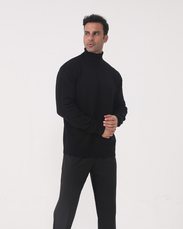 Herren Rollkragenpullover glatter Strick, langarm – Aldren
