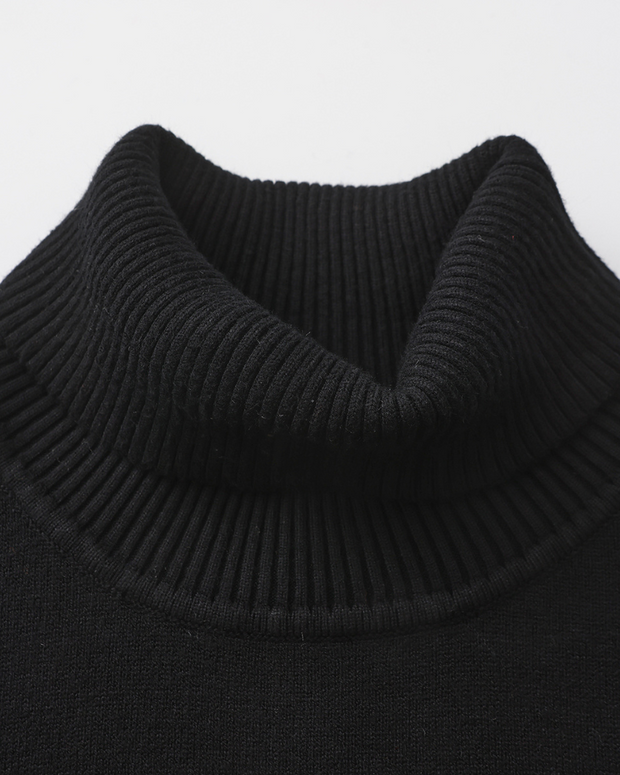 Herren Rollkragenpullover glatter Strick, langarm – Aldren